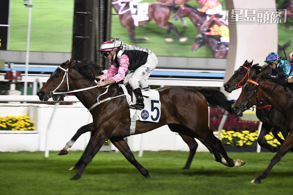 麦道朗将于本周日伙拍「美丽星晨」(图)，出战香港经典一哩赛。