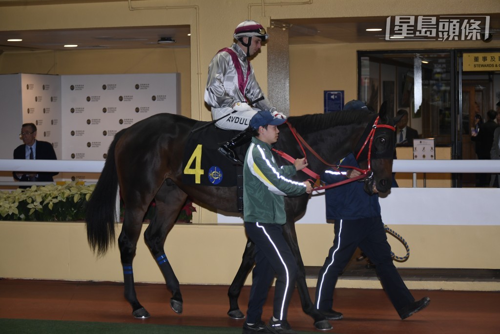 本賽日「小飛俠」成績如何？