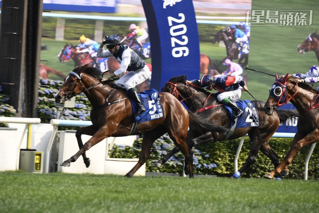 今季争冠军大热人选廖康铭，早前谷草夜战豪取五W，上周日沙田赛事又凭「白鹭金刚」捧走香港打吡大赛。