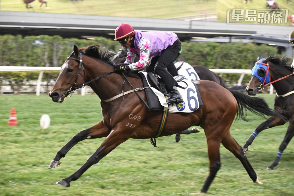 周三晚谷草賽事，何駿杰名下的「久久為尊」跑第九場。