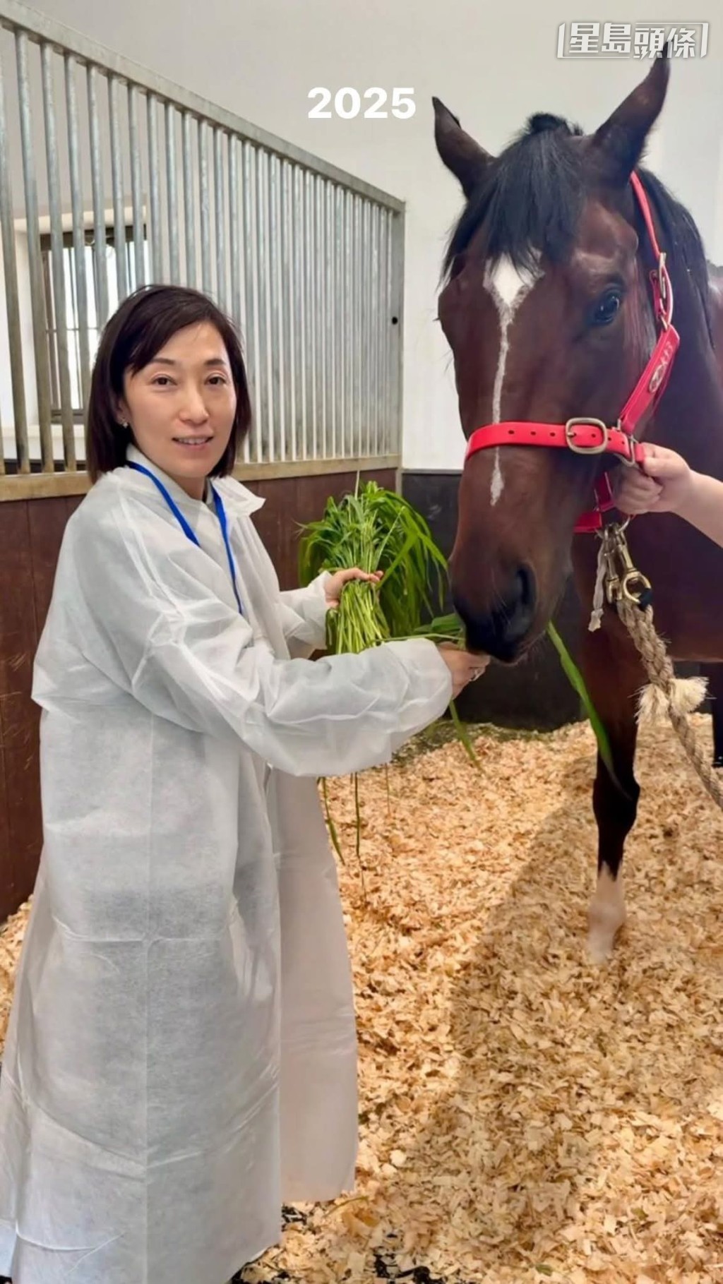 「魅力」、「知遇」和「志同」系馬主鄧詠琪，上周即日來回香港從化兩地，探望「魅力知耀」、「寬心知遇」、「魅力心」(圖) 等駒。