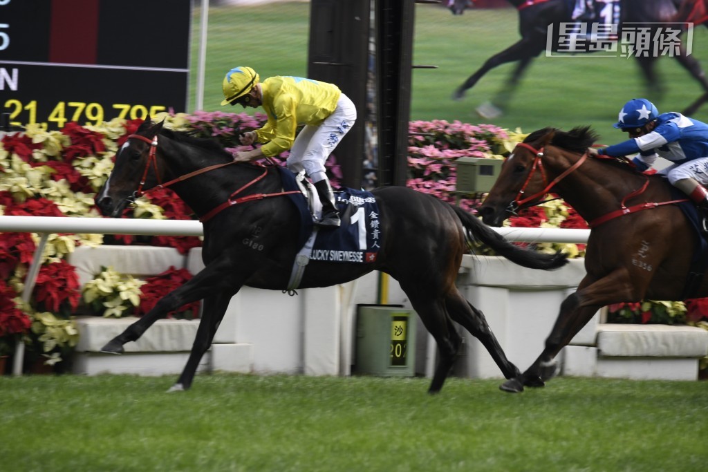 「金钻贵人」(图) 获得邀请出战1351米G2草地短途锦标。