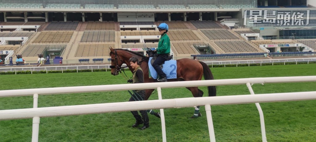 列阵香港杯的「宝徕歌剧」(图) 由练马师上村洋行亲自策骑,在沙田马场草地跑道上快跳。 列阵香港杯的「宝徕歌剧」(图) 由练马师上村洋行亲自策骑,在沙田马场草地跑道上快跳。