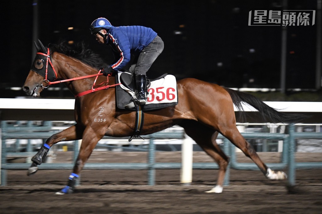 「幸運有您」今朝出跳期間羅富全睇實唔放，接馬之後仲跟埋馬匹返倉，動態確肉緊不已。