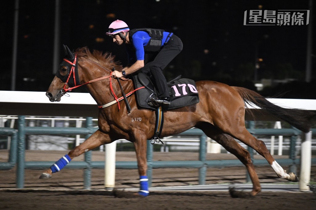 布文同羅富全前後傾了兩次計，相信話題離不開「明亮天下」。