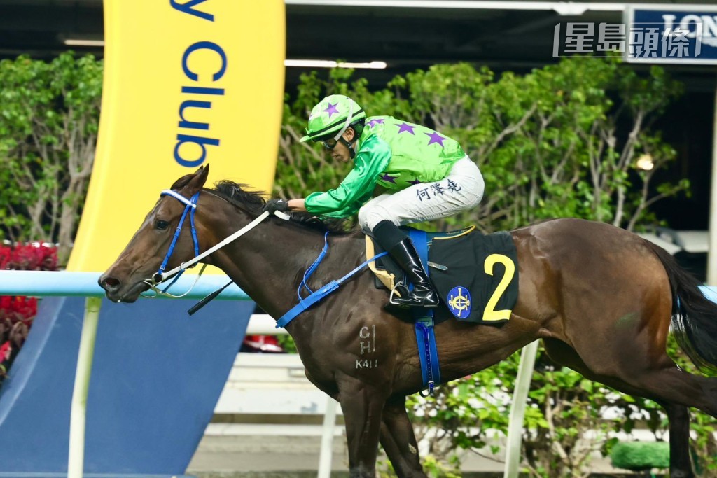 「飞龙在天」季内四战取得两冠一亚一季，表现甚准。