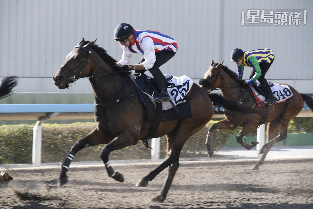 周三沙田全泥宴，許晉亨名下的「戰寶」將出戰第六場四班千二米泥地。