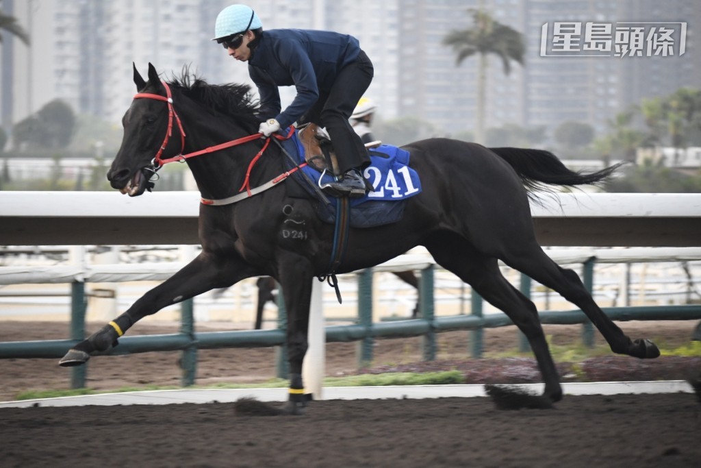 今早蔡明绍为「香港精神」(D241) 在大圈快跳。 今早蔡明绍为「香港精神」(D241) 在大圈快跳。