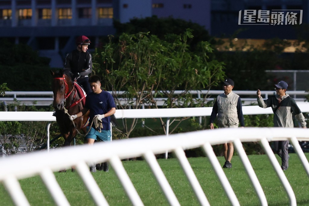 當麥道朗在直路上稍為鬆開韁繩後,「浪漫勇士」(圖) 隨即於在場記者及攝影師面前輕鬆加速,神態自若,最後在沈集成密切觀察下衝線,締速1分14.7秒(分段時間26.3秒、25.8秒、22.6秒)。 當麥道朗在直路上稍為鬆開韁繩後,「浪漫勇士」(圖) 隨即於在場記者及攝影師面前輕鬆加速,神態自若,最後在沈集成密切觀察下衝線,締速1分14.7秒(分段時間26.3秒、25.8秒、22.6秒)。