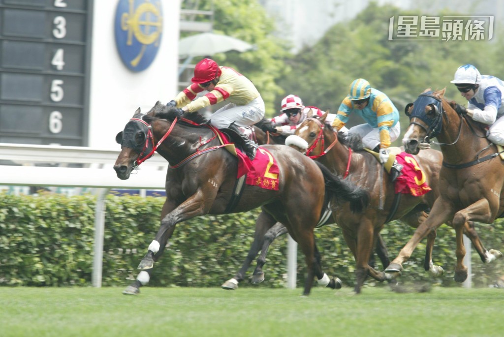提起羅建生在港養過的馬，馬迷一定想起前馬王「喜勁寶」（圖）。