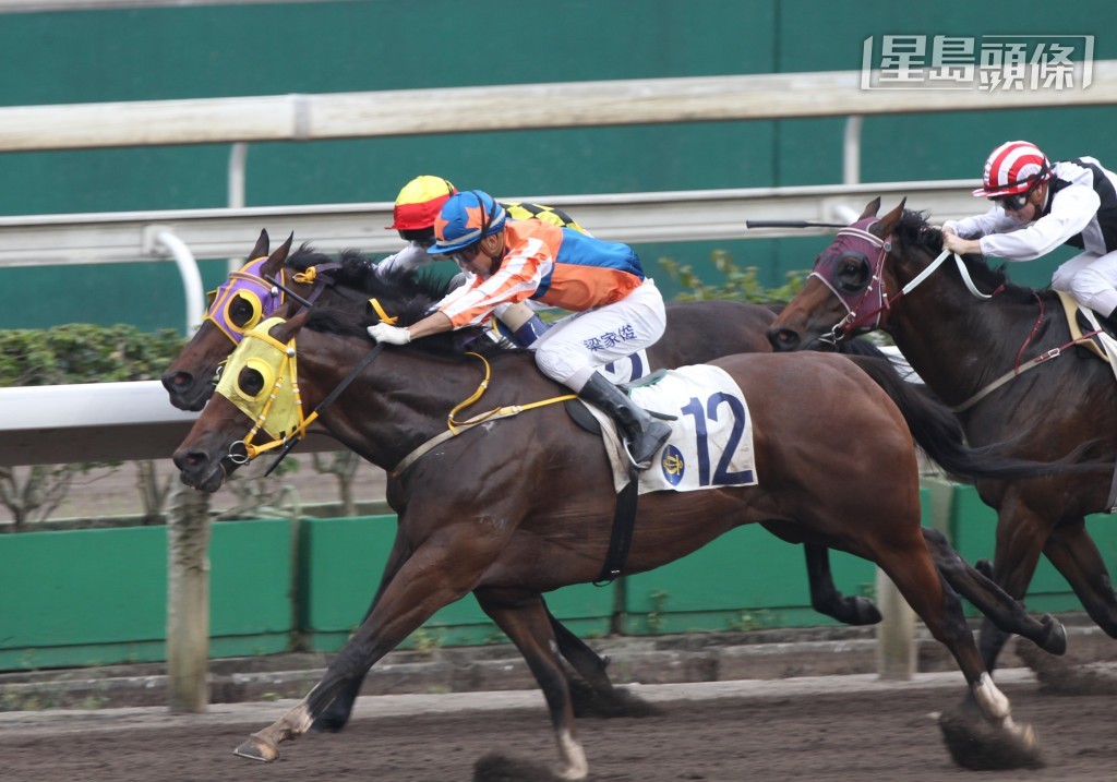 梁家俊曾經夥拍李偉然的「機緣再現」(圖) 贏過三場頭馬，今次雙方再合作，且看能否帶來驚喜。