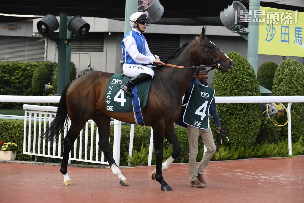 法國馬「同工之妙」(圖) 上周日女皇盃奪季，其練馬師費伯華表示該駒表現已算出色，只是對手太強，頭馬「浪漫勇士」的實力毋庸置疑。