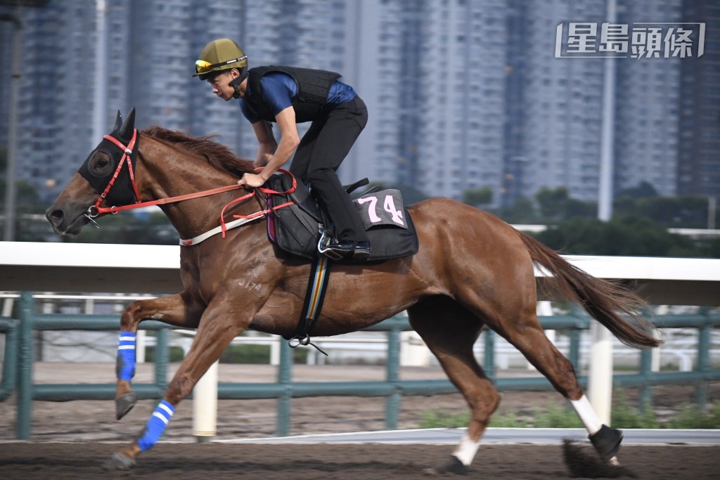 「美神來」除了是家俊的首匹出試馬，仲要課後企定定向羅富全匯報進度，當時講到手舞足蹈，非常肉緊。