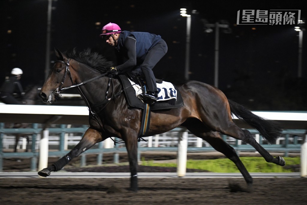 「燈胆將軍」今朝除了由艾道拿親自出試，更見黎昭昇相當緊張。