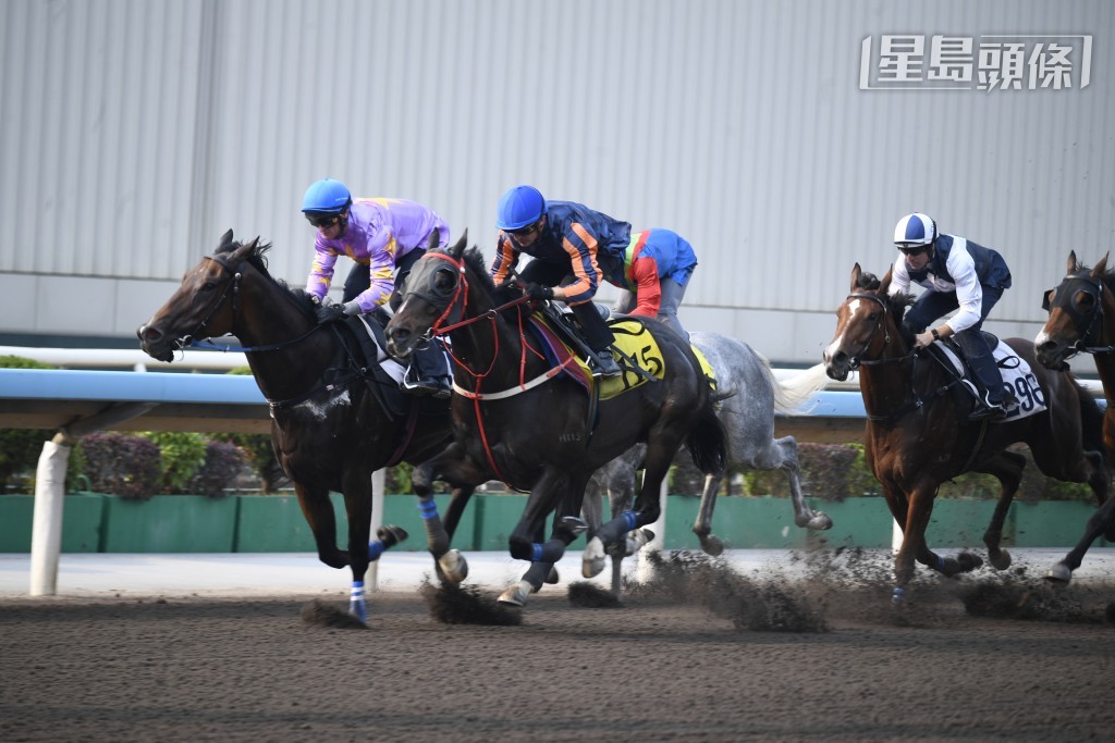 潘頓希望今次回師千六米，「小島天堂」(內) 能夠驗證本身實力，至於狀態方面，馬兒早前試閘走勢佳，目前應具良好作戰狀態。