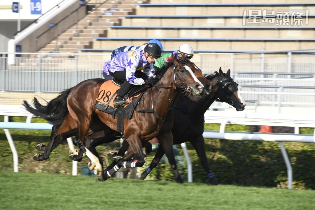 如果進度理想，「紫荊傳令」或有力成為進軍四歲經典系列的希望。