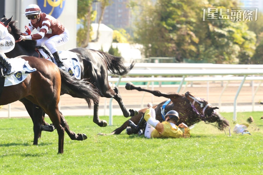 參戰馬在終點前五十米左右，初岀新馬「鋁神」突然失蹄，鞍上人何澤堯因而失去平衡墮馬。