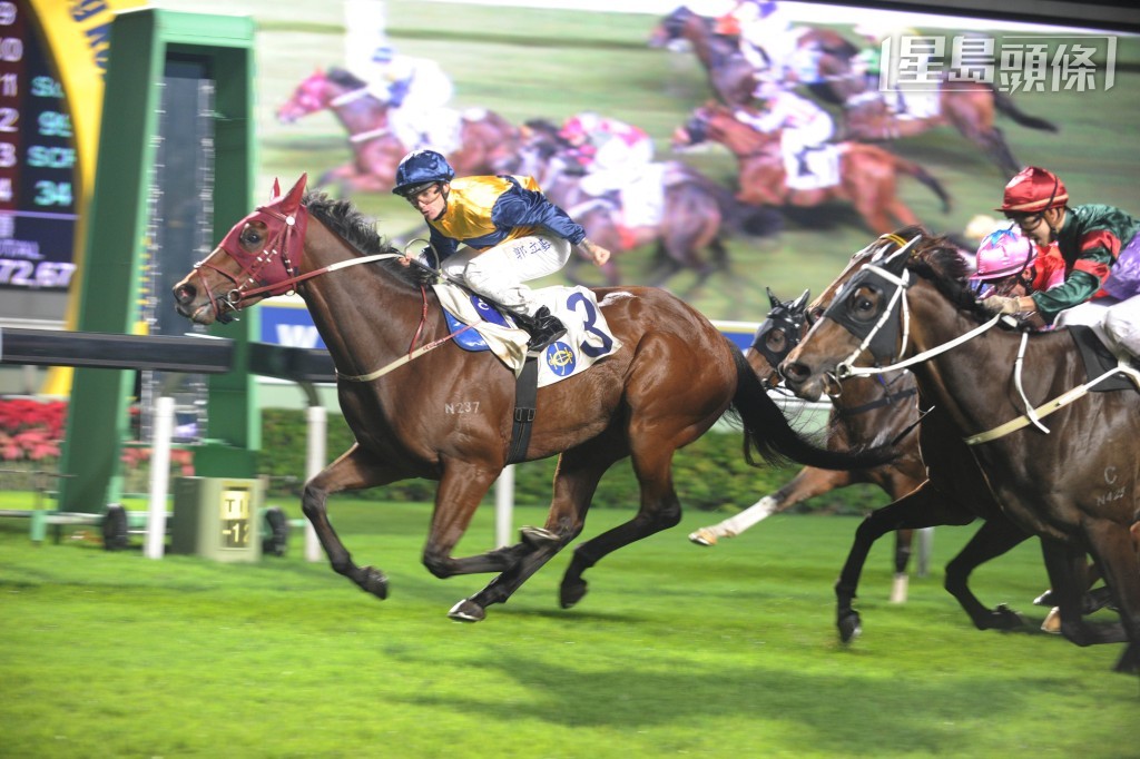 第二匹「海鑽石」(圖) 是由已榮休的大摩訓練，在港亦贏出五場頭馬。