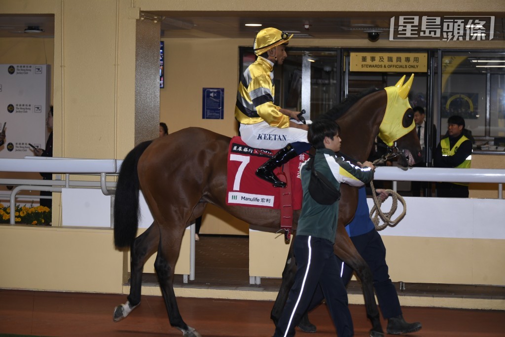 希威森接手田泰安原定坐騎「團結戰靈」及「團結巴打」(圖)，這兩駒都是由桂福特訓練。