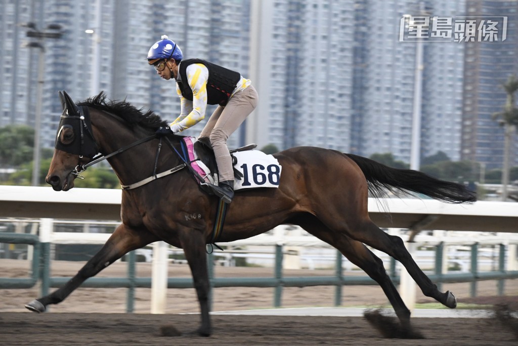 「笑傲江湖」出跳時威哥在烽火台食胡位睇到鏡不離手，神情相當肉緊，更吸引鞍上人何澤堯一反常態，早於六駒鐘現身替此馬出試。
