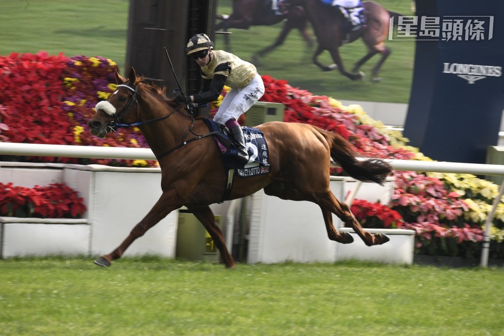 「遠飛標槍」(圖) 將嘗試挑戰成為「牢騷」、「迪諾醫生」、「高地之舞」和「耀滿瓶」之後，第五匹兩度贏出香港瓶的賽駒。