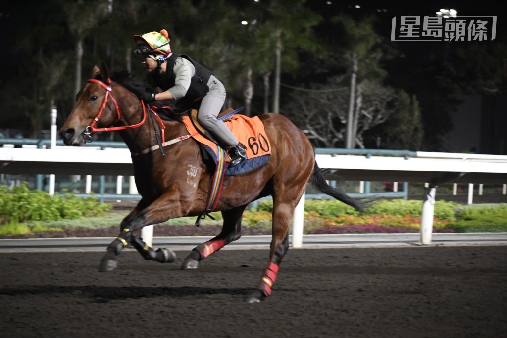 「觀萬象」早課步挺開揚力度不錯，神色無咁淡，近況大有轉機。