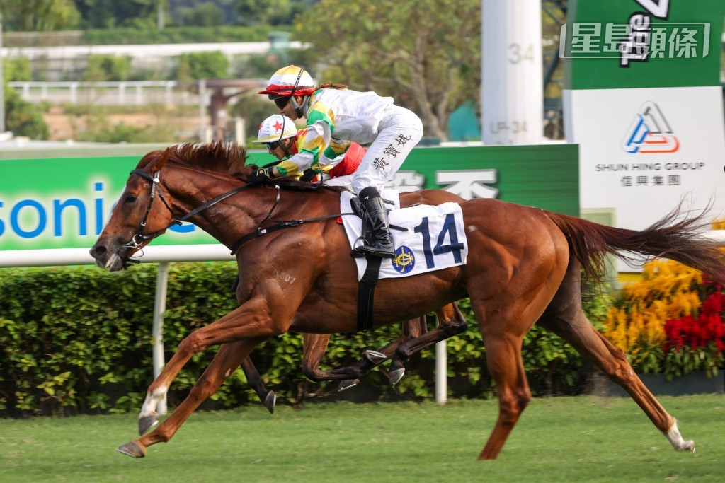 巴西進口賽駒「睿盛人生」在港一出即勝,為馬主在賽事獎金以外再贏得合共三百萬港元的特別獎金。 巴西進口賽駒「睿盛人生」在港一出即勝,為馬主在賽事獎金以外再贏得合共三百萬港元的特別獎金。