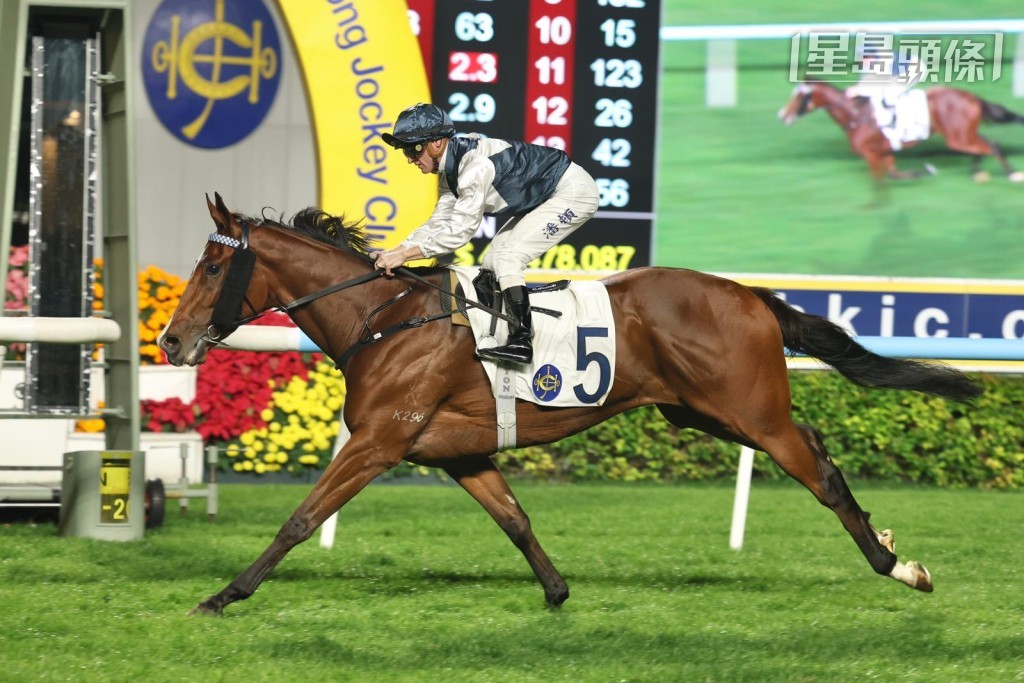 廖康铭对「白鹭金刚」这匹「不惜代价」的子嗣充满信心，认为牠可望在四岁马经典赛事系列各关赛事保持竞争力。