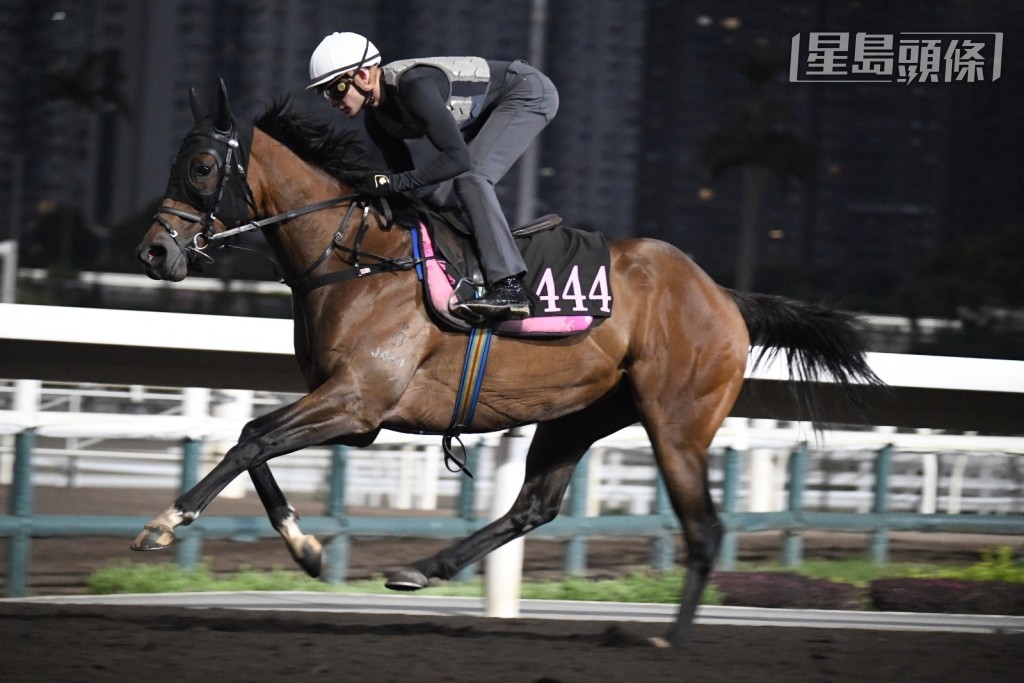 霍宏声操「做好自己」（J444) 。