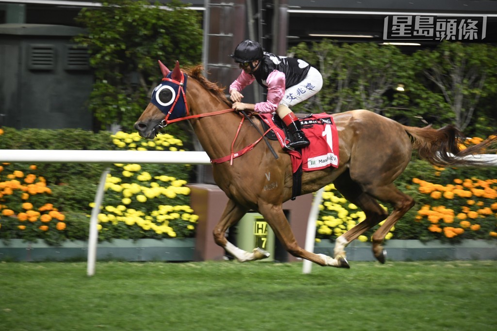 「美丽缘分」上季在港赢出五场头马，可惜却因为第二次流鼻血和心律不正而需要退役。