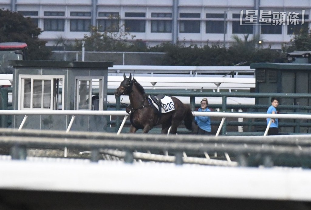今早沙田馬場晨操，廖康銘訓練的「大愛無疆」（G235）在內圈出試時突然走甩，幸而人馬均無礙，之後操練如常。