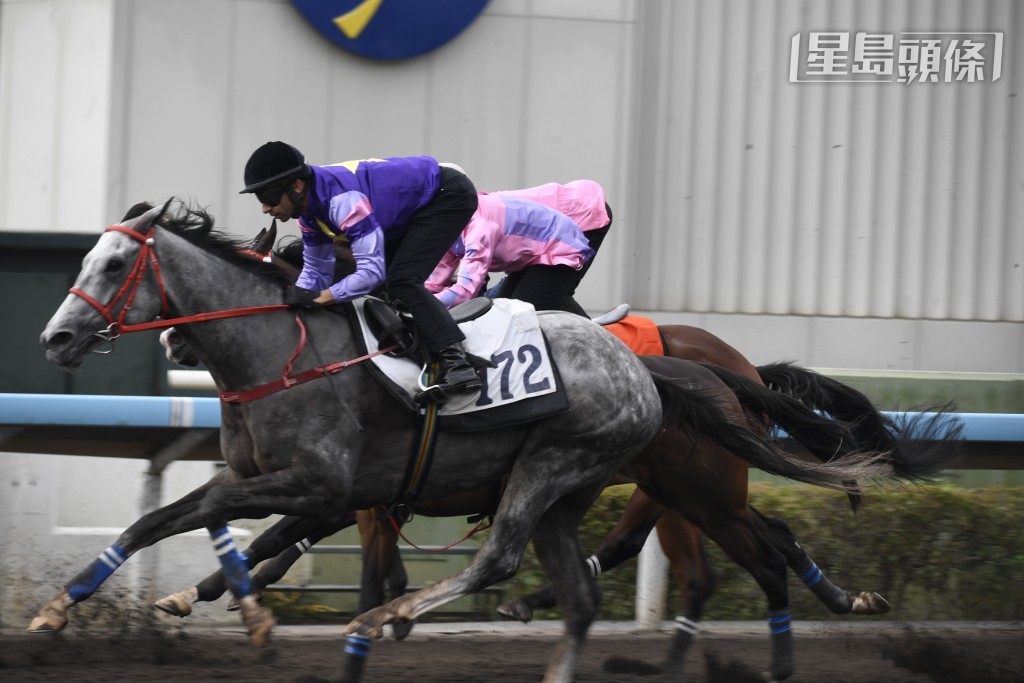直至今個周日沙田賽事，才開始接外線馬，暫時有羅富全旗下的「大眾福星」(圖) 及葉楚航旗下的「偵探傳奇」這兩匹外線坐騎，這是雷神以方嘉柏馬房主帥身分後首次接的外線坐騎。