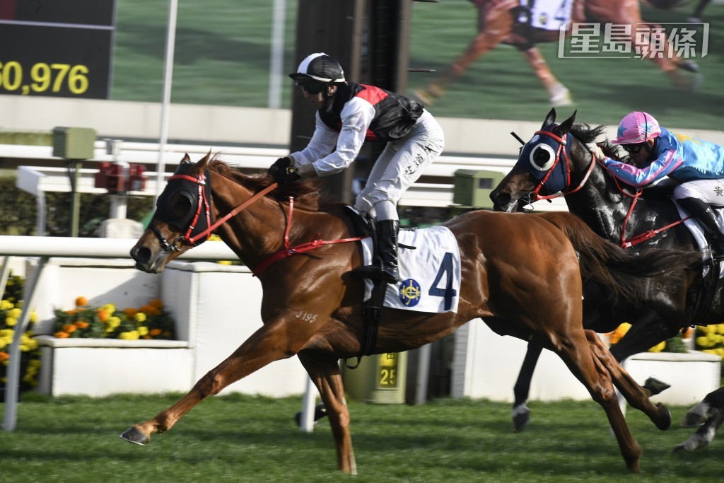 第八場競駿會派出「競駿輝煌」(圖) 應戰，跑曾經三捷的田草千四米，擺明有心搏殺，競駿會盃有望左手交右手？