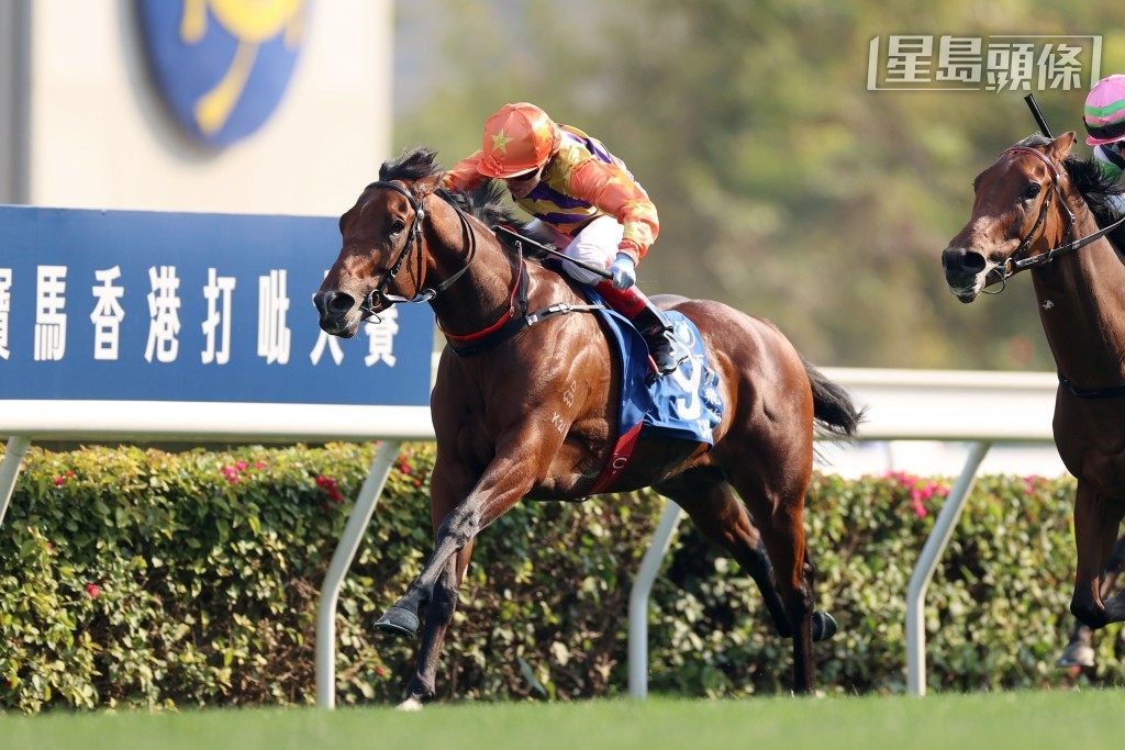 「百賀飛駒」是香港馬壇正在冒起的新星之一。 「百賀飛駒」是香港馬壇正在冒起的新星之一。
