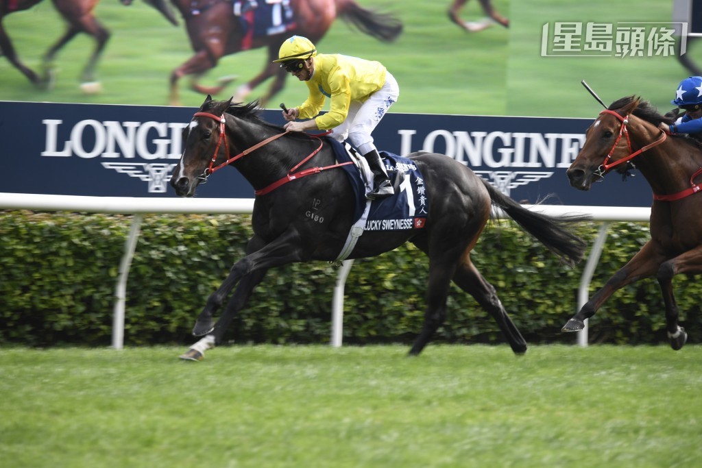三冠短途馬王「金鑽貴人」。