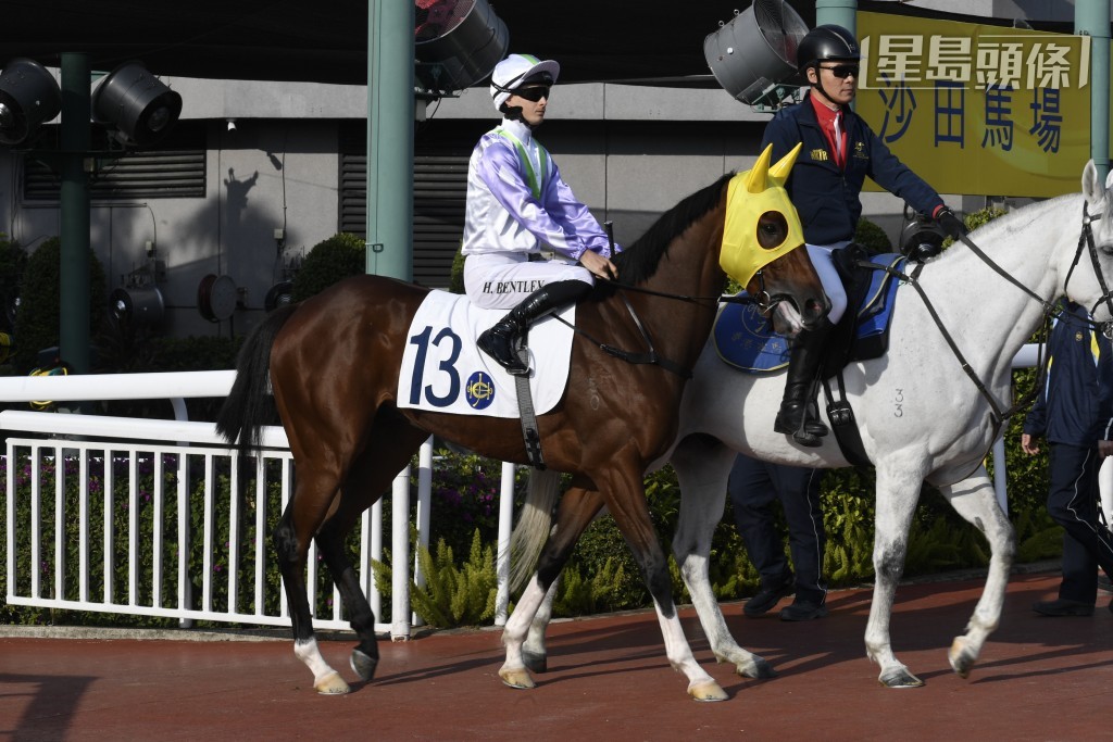 「神駒馬靈」賽前備戰工夫充足，周日將全力爭奪在港首場頭馬。