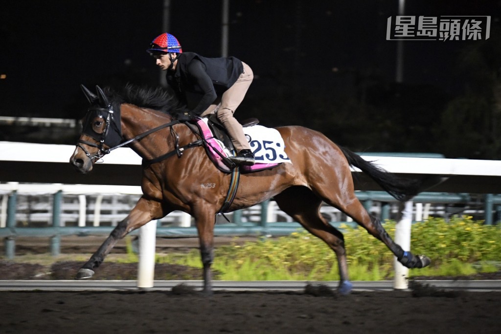 希威森操「同心」(圖)和助手操「江南勇士」時,威哥都非常緊張高舉遠望鏡吼實,這兩駒周三晚均會在谷草出賽,不妨留意。 希威森操「同心」(圖)和助手操「江南勇士」時,威哥都非常緊張高舉遠望鏡吼實,這兩駒周三晚均會在谷草出賽,不妨留意。