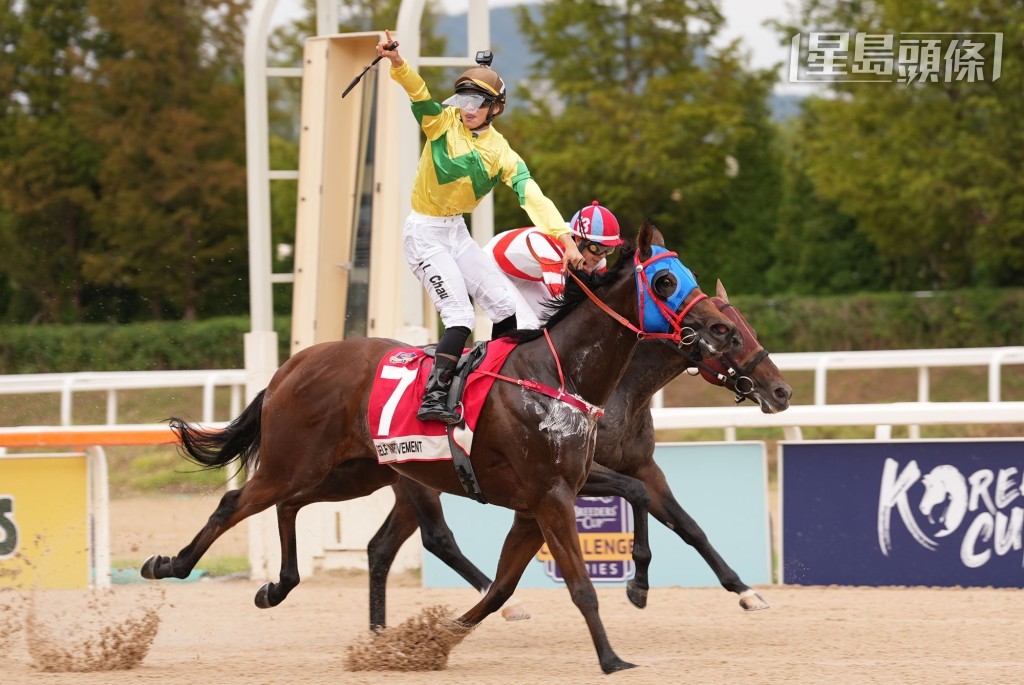 「自強不息」將出戰泥地1200米G2維雅德泥地短途錦標。