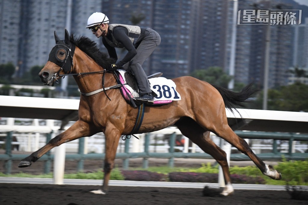 霍宏声操「好实力」(K381)。