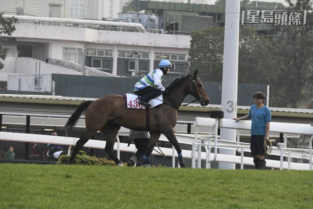 「遨游气泡」由潘顿亲试千六米草闸。