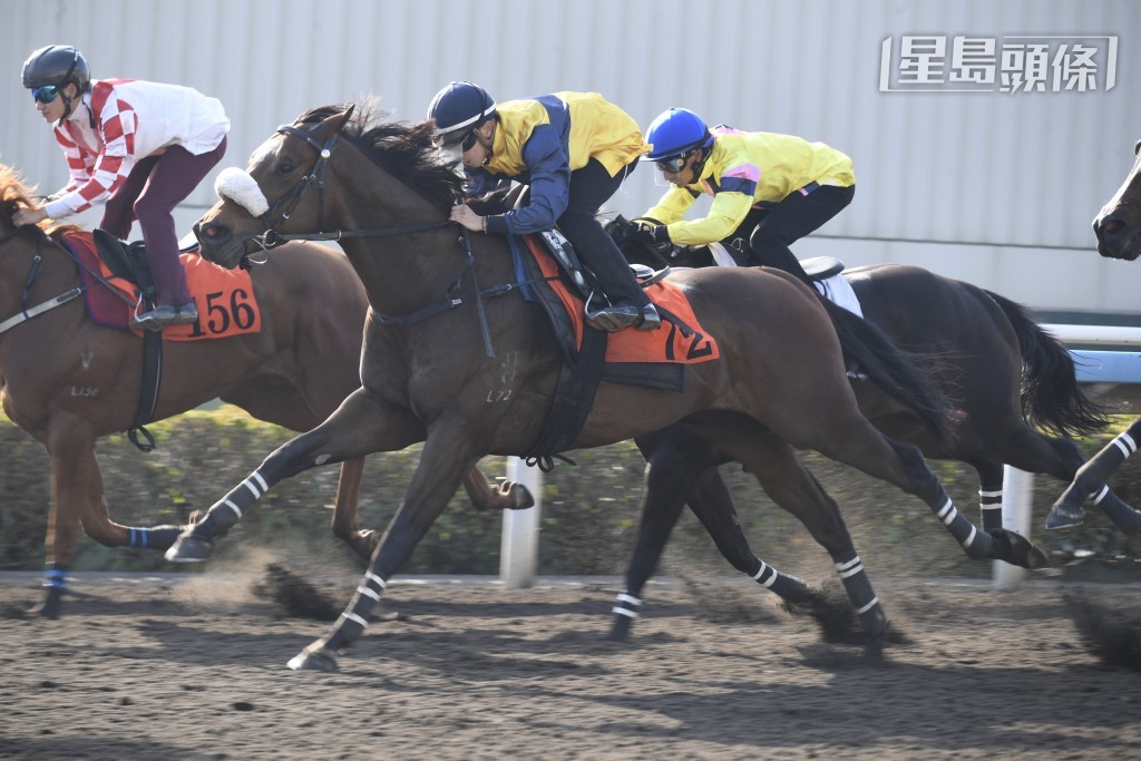 周日在港初次登場的「海鑽石」(圖)，馬主香港高爾夫球會賽馬團體的馬主成員大多是資深馬主。