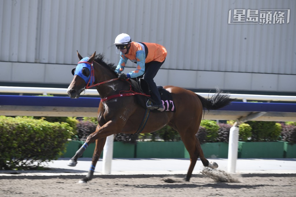 周俊乐当晚将为「腾龙四海」(图)、「喵喵怪」、「包装旋风」等驹主辔。