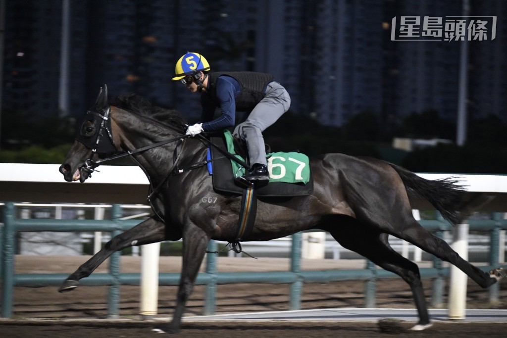 「一舖到位」今早刻意推騎，決意跳出快時間，睇埋此馬早前已試兩課閘，反映今次備戰幾咁積極。