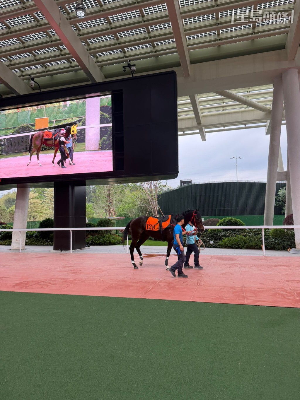 由马匹配马鞍，出发行亮相圈，练马师和骑师商讨策骑指示、到马匹上马。相片及短片截图：叶楚航ig