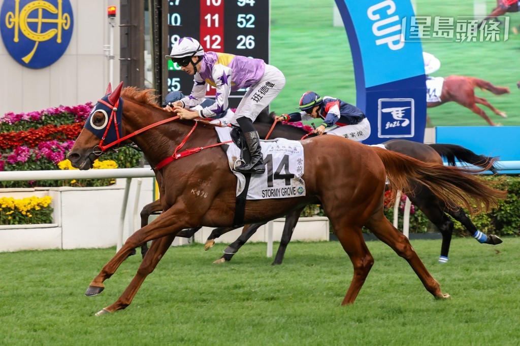 「紫荊盛勢」攻下香港經典盃。