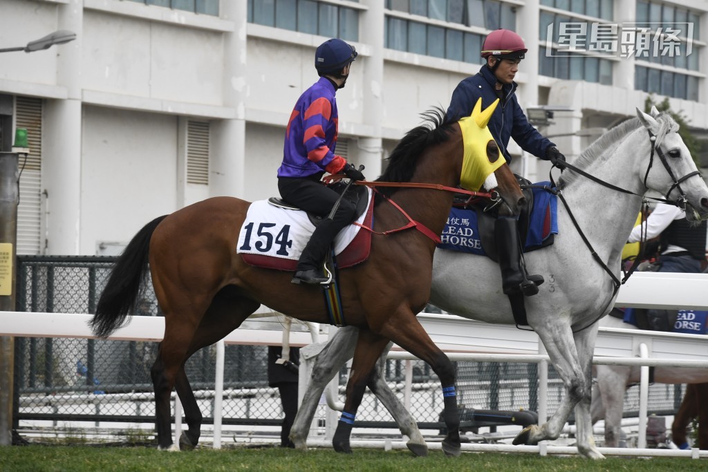 「關鍵所在」(圖) 及「南莊堡」周日可否破悶局？