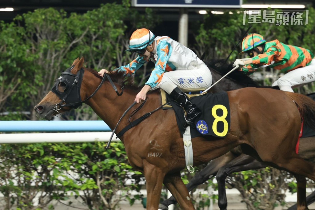 「勝多多」上仗跑第五有獎金收，今仗改配布浩榮威力增強。