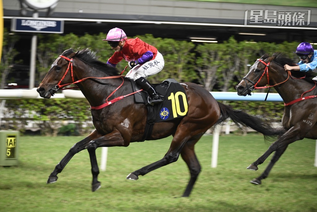 「皮具大師」及「自動自覺」(圖) 俱抽一檔起步，成績如何？