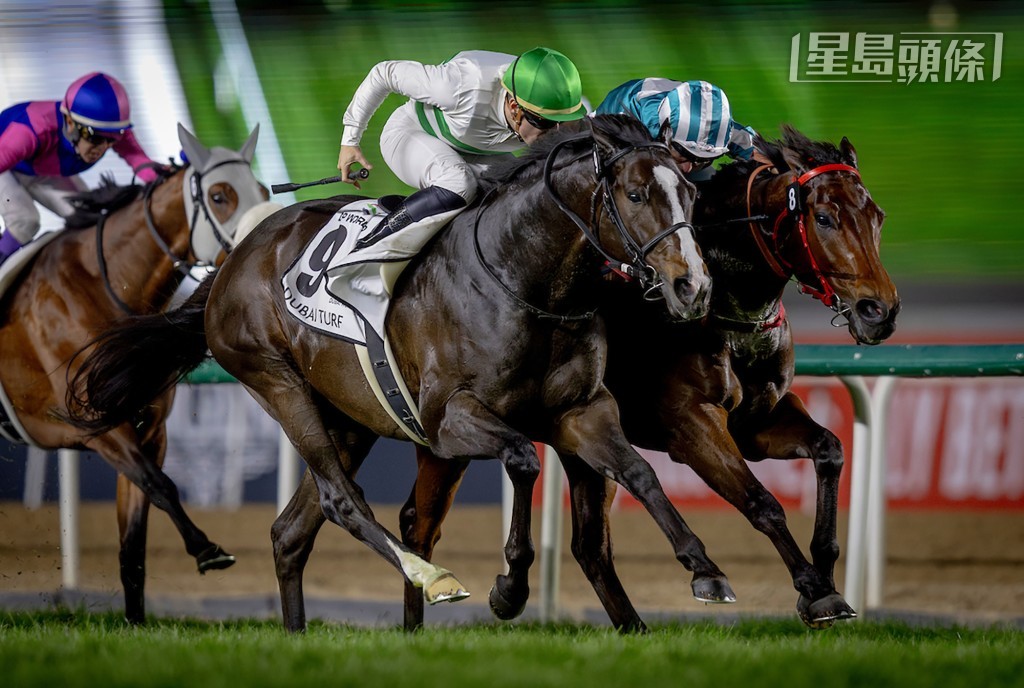 「神志勇进」(外) 在杜拜草地大赛击败香港马王「浪漫勇士」(内)。