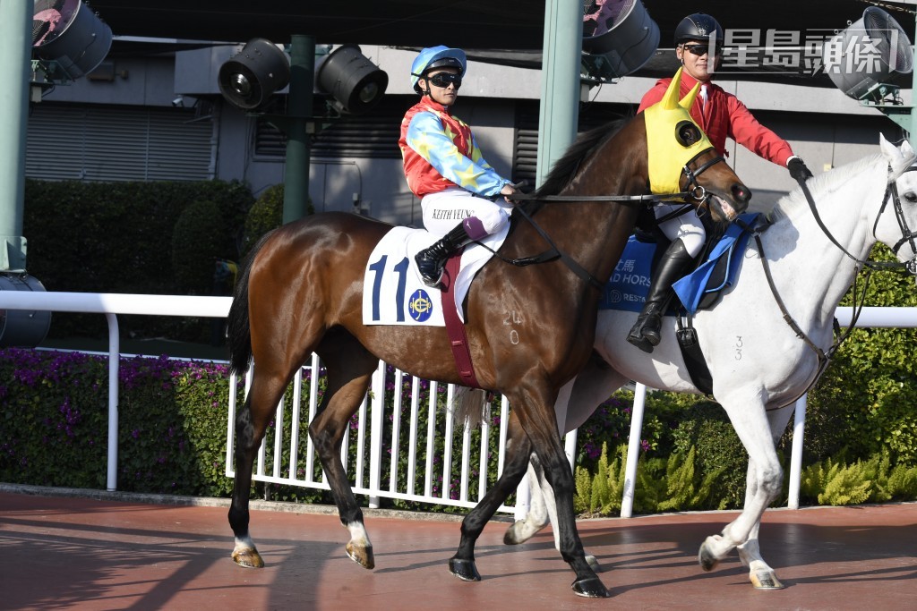 「金創福威」今戰成績如何？